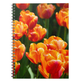 Helder oranje tulpen in het park notitieboek