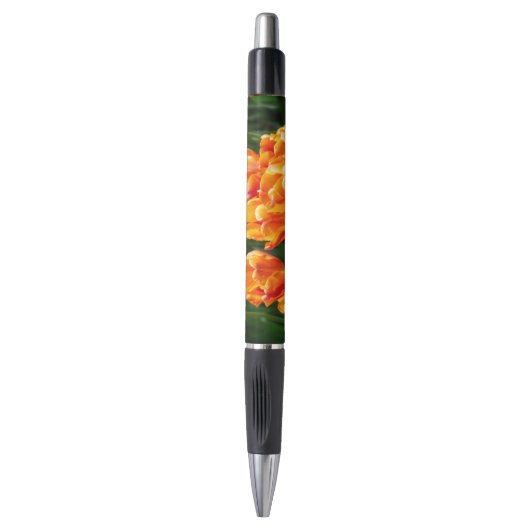 Helder oranje tulpen in het park    pen (Voorkant Verticaal)