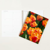 Helder oranje tulpen in het park planner (Display)