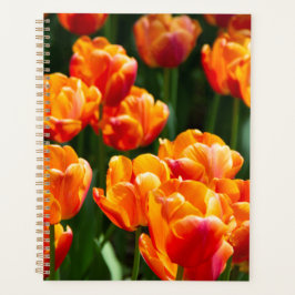 Helder oranje tulpen in het park    planner