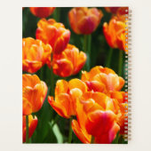 Helder oranje tulpen in het park planner (Achterkant)