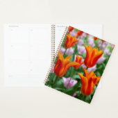 Helder oranje tulpen in het park planner (Display)