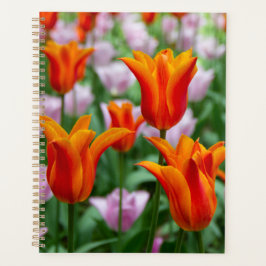 Helder oranje tulpen in het park     planner