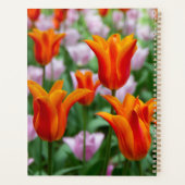 Helder oranje tulpen in het park planner (Achterkant)