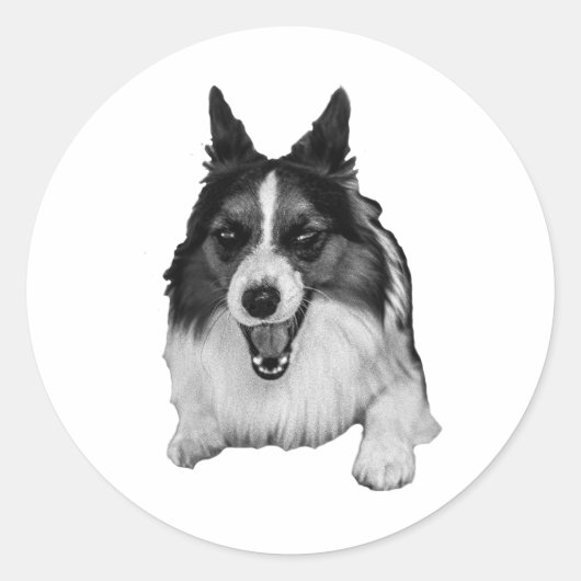 Helder Oren, Blijde Bui Ronde Sticker (Voorkant)