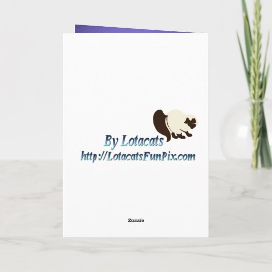 Helder Paard 2 Kaarten (Achterkant)