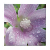 Helder paars tegeltje (Voorkant)