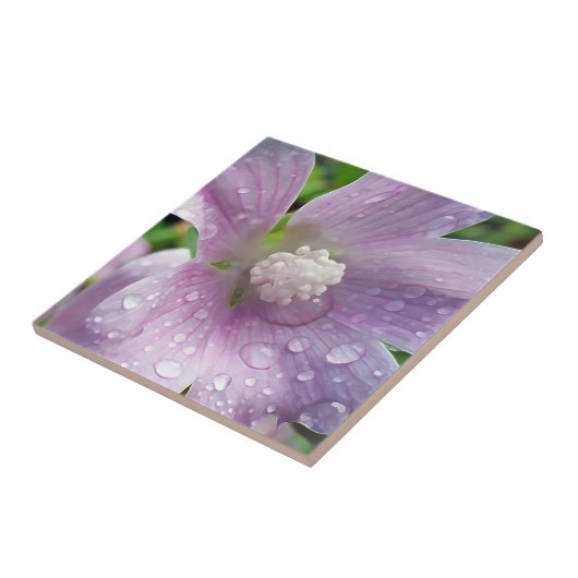 Helder paars tegeltje (Zijkant)