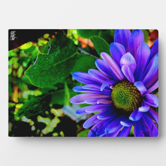 Helder paarse bloem fotoplaat (voorkant)