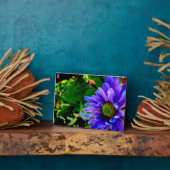 Helder paarse bloem fotoplaat (Zijkant)