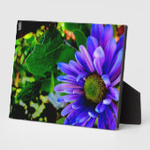Helder paarse bloem fotoplaat (Zijkant)