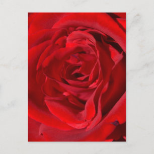 Helder rood Briefkaart