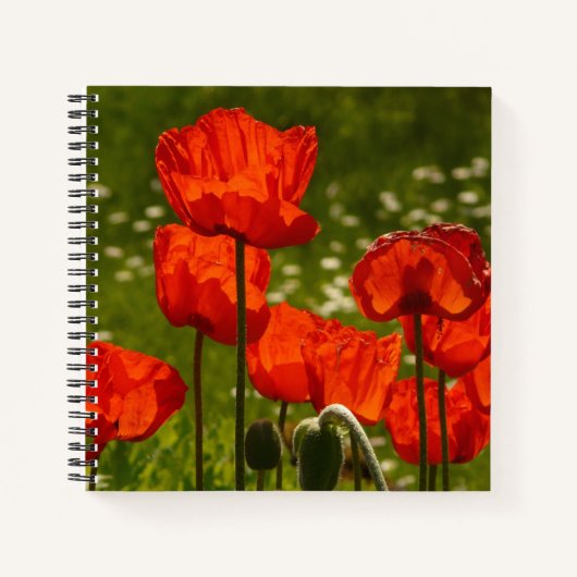 Helder Rood Kloosterhoofdveld Notitieboek (Voorkant)