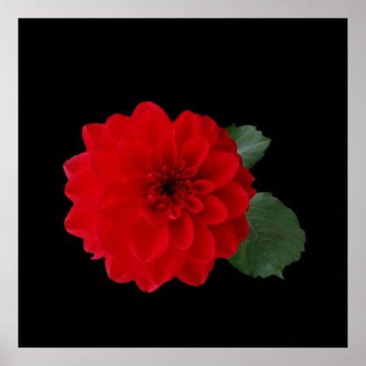 helder rood poster (Voorkant)