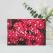 Helder rood roze wilde bloemenDank je kaart (Staand voorkant)