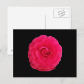 Helder Roze Camellia Briefkaart (Voorkant / Achterkant)