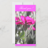 Helder Roze Dusty Miller Bloem Bedankkaart (Voorkant)