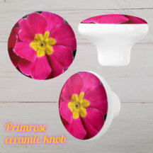 Helder roze en gele sleutelbloem bloem