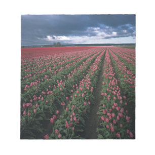 Helder roze en rode tulpen gloeien onder donker notitieblok
