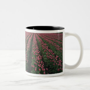 Helder roze en rode tulpen gloeien onder donkere w tweekleurige koffiemok