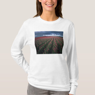 Helder roze en rode tulpen lichten op onder donker t-shirt