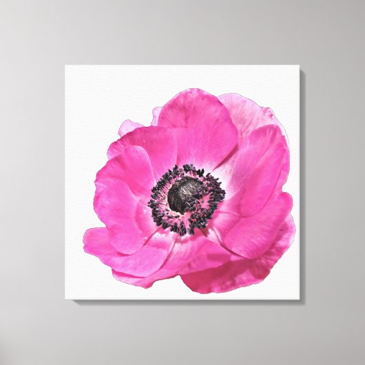 Helder Roze Klaproos Bloem Bloemendesign Wit Canvas Afdruk (Voorkant)