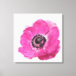 Helder roze klaproos bloem bloemenontwerp wit canvas afdruk