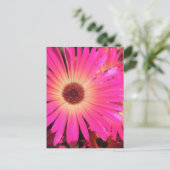 Helder Roze Madeliefjes Briefkaart (Staand voorkant)