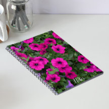 Helder Roze Petunia Bloemen