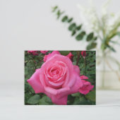 Helder Roze Roos Foto Briefkaart (Staand voorkant)