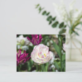 Helder roze tulpen op een zonnige dag   briefkaart