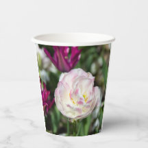 Helder roze tulpen op een zonnige dag