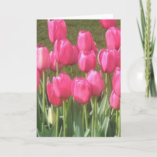 Helder Roze Tulpentuin Kaart (Voorkant)