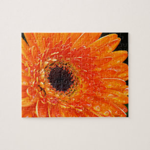 Helder Sinaasappel Gerbera Daisy Macro Fotografie Legpuzzel