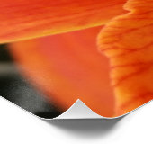 helder sinaasappel poster (Hoek)