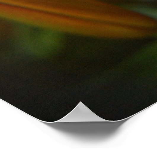 helder sinaasappel poster (Hoek)