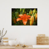 helder sinaasappel poster (Keuken)