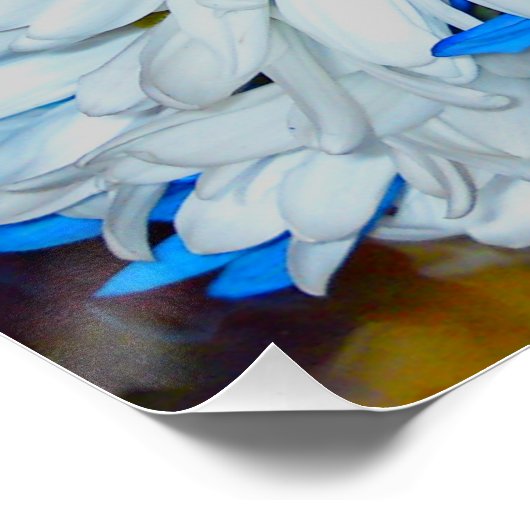 Helder wit en blauw blauw bladerlijk mengsel Poste Poster (Hoek)