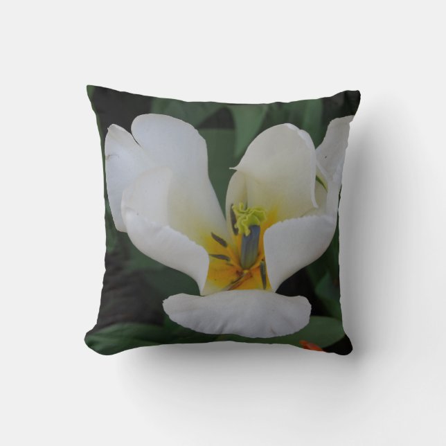 helder wit kussen (Voorkant)