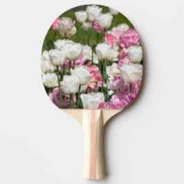 Helder witte en roze tulpen op een zonnige dag    tafeltennisbatje