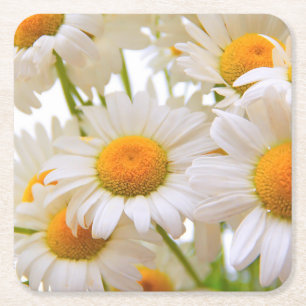Helder Zomer Madeliefjes Bloemen Kartonnen Onderzetters
