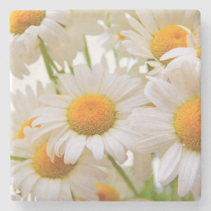 Helder Zomer Madeliefjes Bloemen Stenen Onderzetter