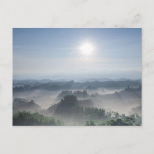 Helder Zonlicht in de Bomen van het Bamboe Briefkaart