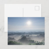 Helder Zonlicht in de Bomen van het Bamboe | Briefkaart (Voorkant / Achterkant)