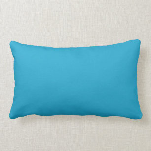 Helderblauw - vast blauwgroen blauw kussen