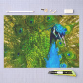 Helderblauwe & groene Pauw Veren Kleurrijke Vogel Tissuepapier (Craft)