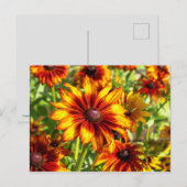 Helderbloemige Briefkaart (Voorkant / Achterkant)