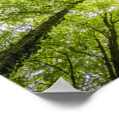 Helderboomkanopie Poster (Hoek)