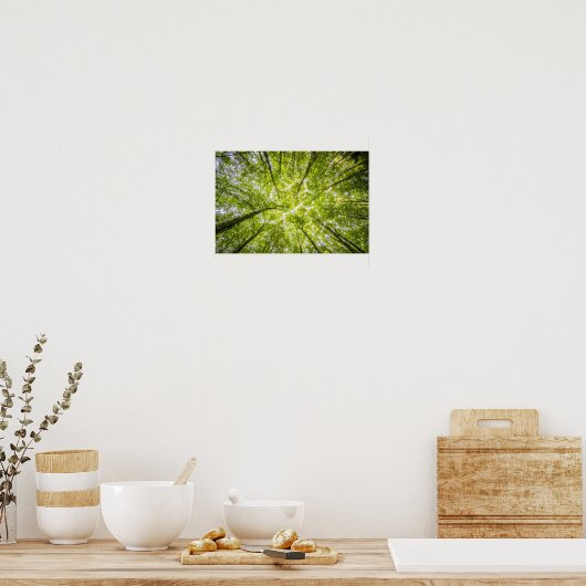 Helderboomkanopie Poster (Keuken)