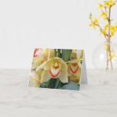 Heldere Baarden Kaart (Gele Bloem)